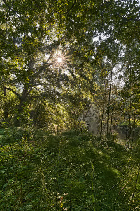 Gemeinde Winhöring Landkreis Altötting Steinhöring Isen Landschaft Pilgerweg (Dirschl Johann) Deutschland AÖ